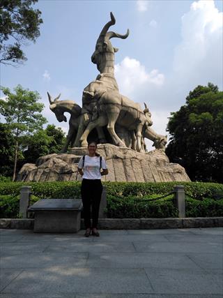 陈圣瑾